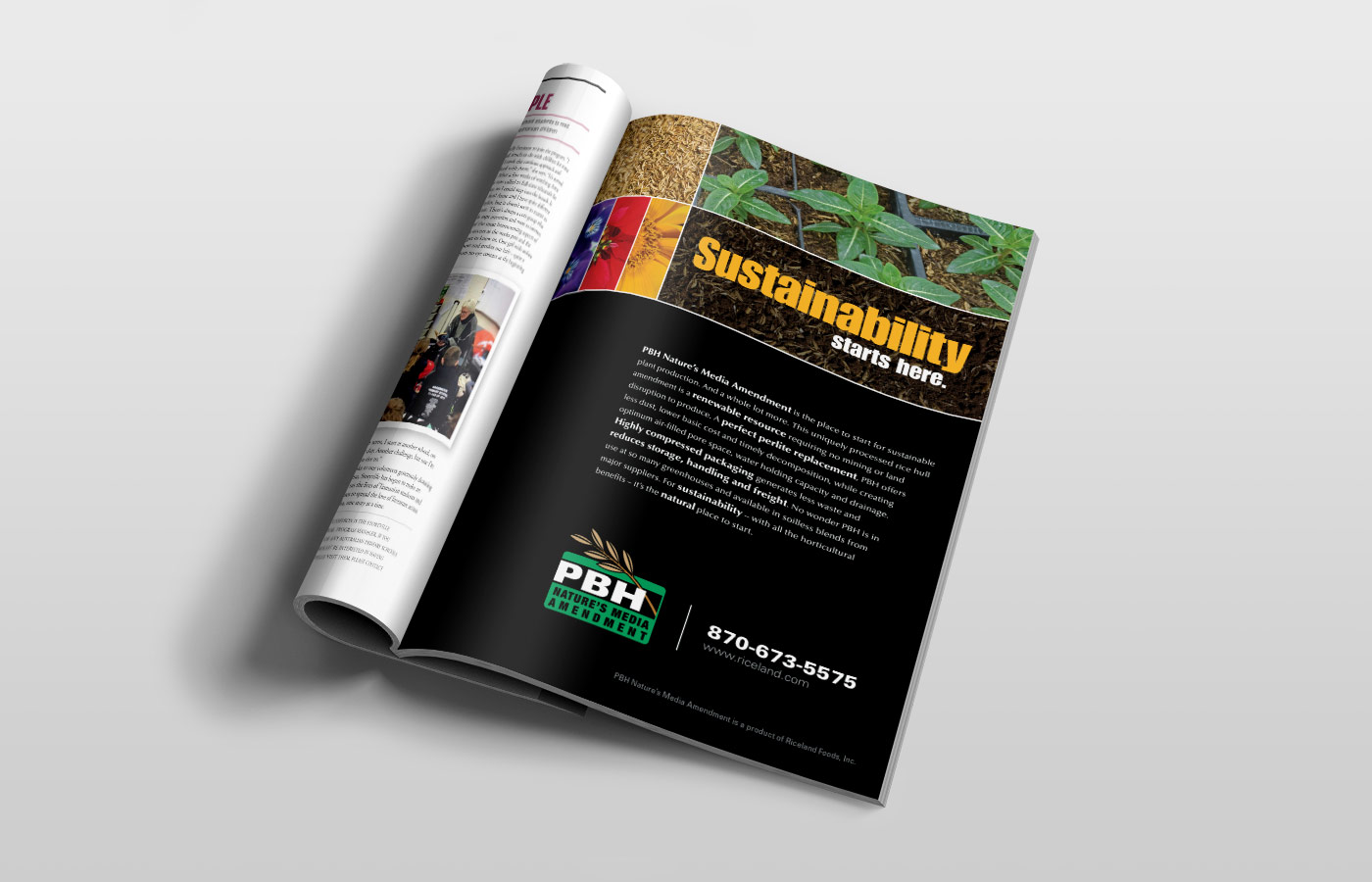 Riceland PBH Full Page Ad
