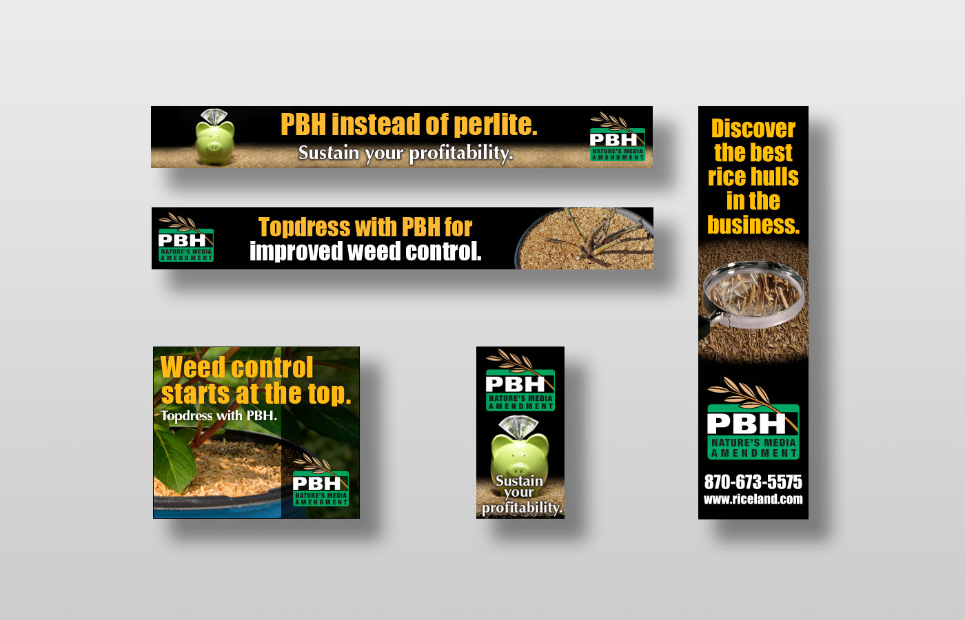 Riceland PBH Digital Ads