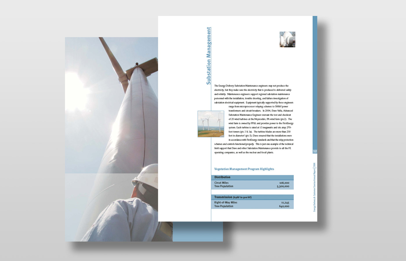 FirstEnergy Brochure